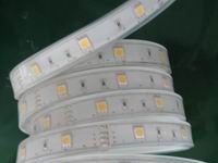 photo: 3528 warm white 60 led permetepvcsilicon hollow tube ip67