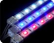 led rigid strip