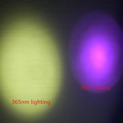 image: 365nm lighting & 395nm lighting