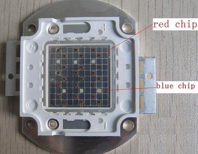 image: customized  grow light led modules 