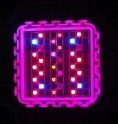 image: customized 100w grow light led modules lighting test