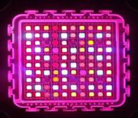 image: customized 300w grow light led modules lighting test