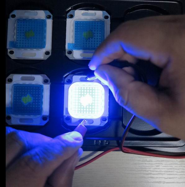 products pictures of 100w led grow light-buw high power led light source